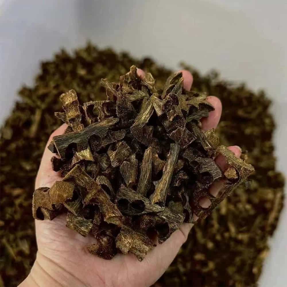 What Is Agarwood? Origin, Formation, Benefits & Global Oud Varieties Explained 7 oud chips2