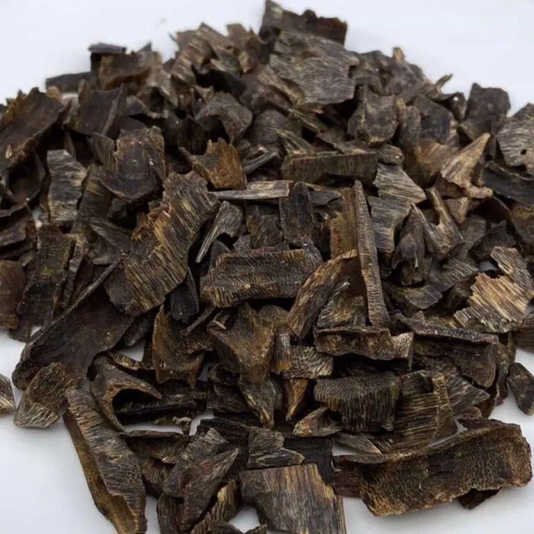 خشب العود الأخضر