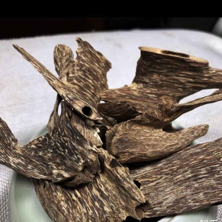 What Is Agarwood? Origin, Formation, Benefits & Global Oud Varieties Explained 23 agarwood Blocks(agarwood pieces)