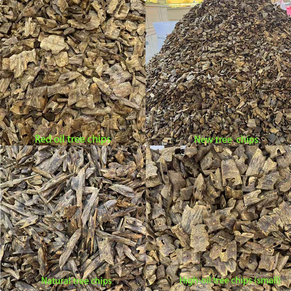 Agarwood Chips Wholesale – Premium Oud Chips for Bakhoor & Incense 6 agarwood price per kg